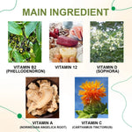 ODALIT Vein Therapy Cream