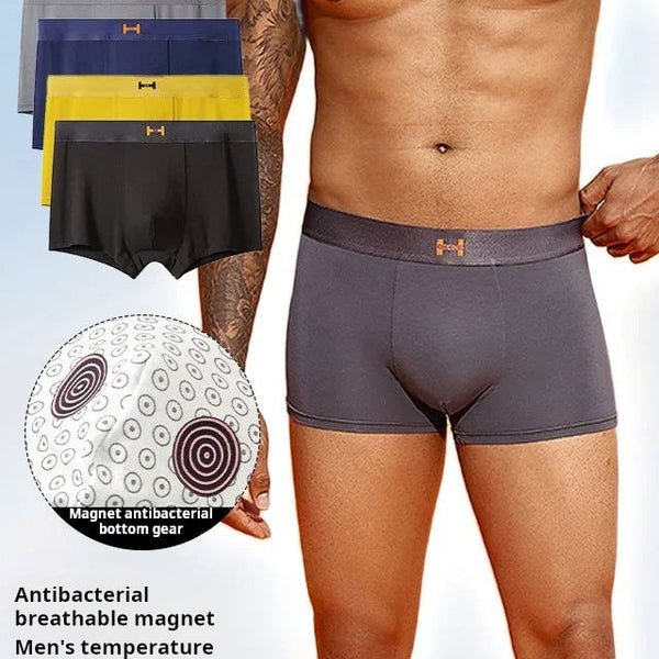 FreshLock Magnetic Briefs