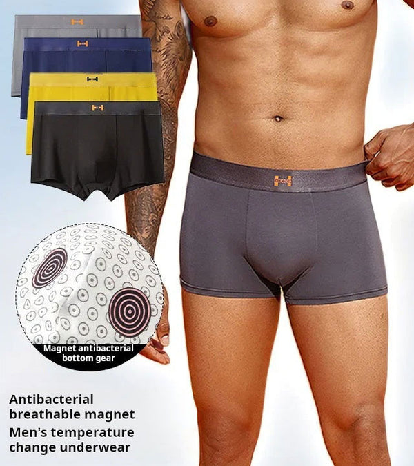 FreshLock Magnetic Briefs