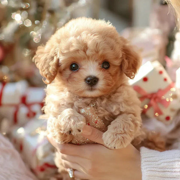 NICOO - My Realistic Robot Puppy