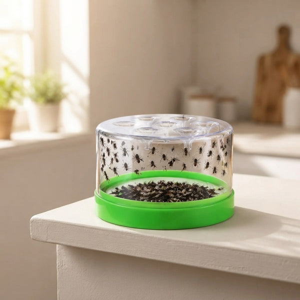 Reusable Non-Electric Fly Trap